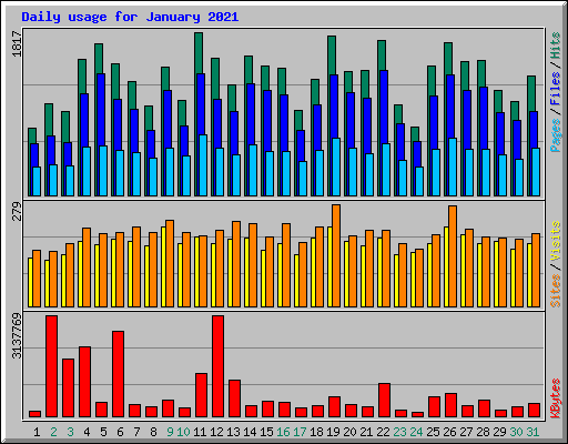 Daily usage for January 2021