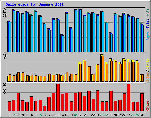 Daily usage for January 2022