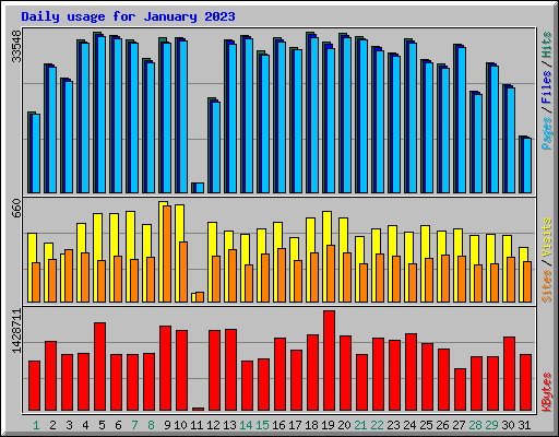 Daily usage for January 2023