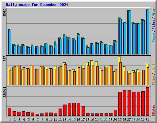 Daily usage for December 2024