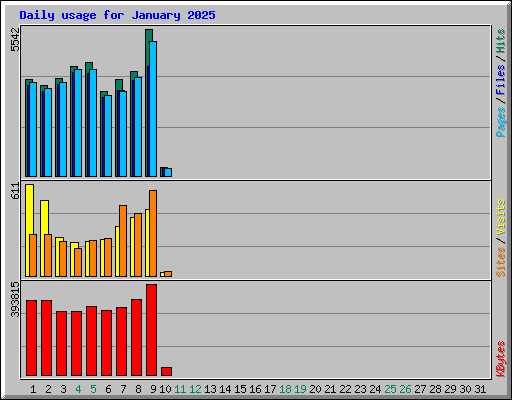 Daily usage for January 2025