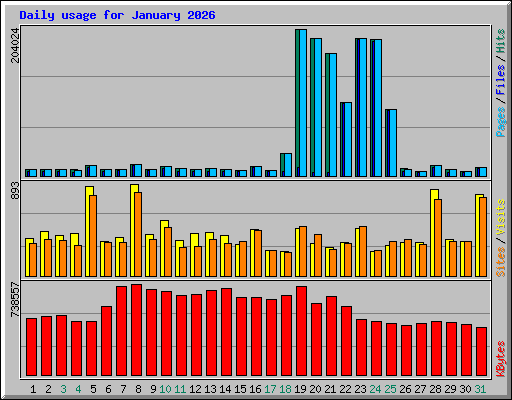 Daily usage for January 2026