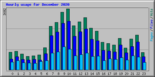 Hourly usage for December 2020