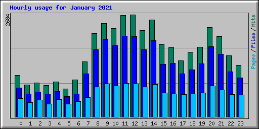 Hourly usage for January 2021