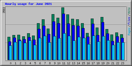 Hourly usage for June 2021