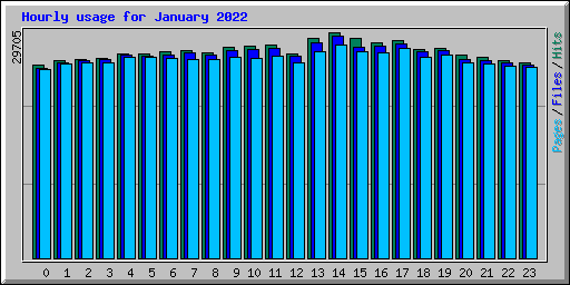 Hourly usage for January 2022