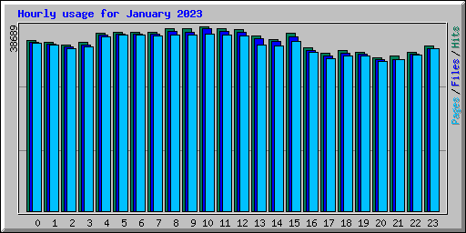 Hourly usage for January 2023