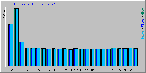 Hourly usage for May 2024