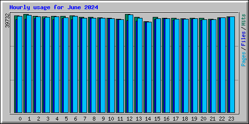 Hourly usage for June 2024