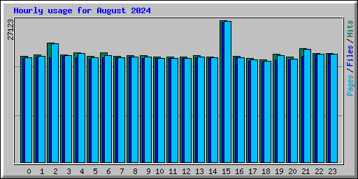 Hourly usage for August 2024