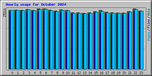 Hourly usage for October 2024