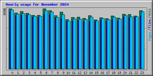 Hourly usage for November 2024