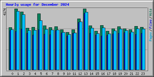 Hourly usage for December 2024