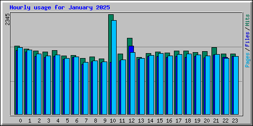 Hourly usage for January 2025