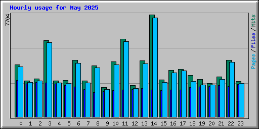 Hourly usage for May 2025