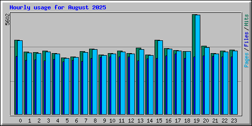 Hourly usage for August 2025