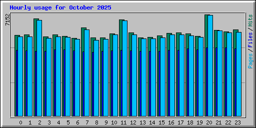 Hourly usage for October 2025
