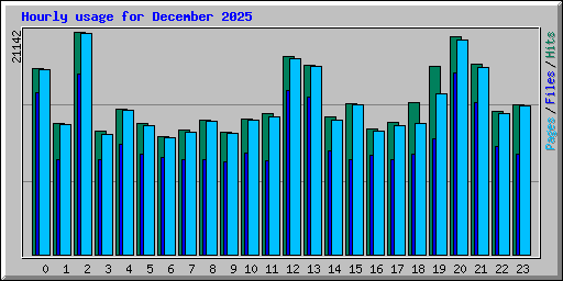 Hourly usage for December 2025