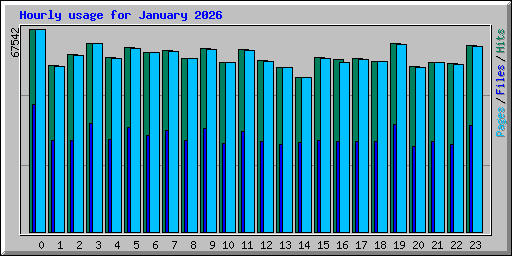 Hourly usage for January 2026