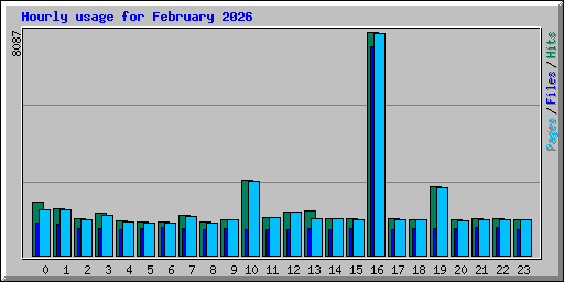 Hourly usage for February 2026