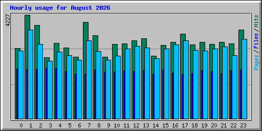Hourly usage for August 2026